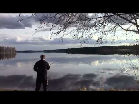 POTTUKOIRA: Pinna kireällä kalassa #pottukoira