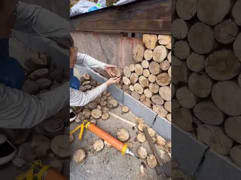 📣Follow us: @Csapatmunka