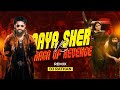 AAYA SHER RAGA OF REVENGE MASHUP DJ RATHAN