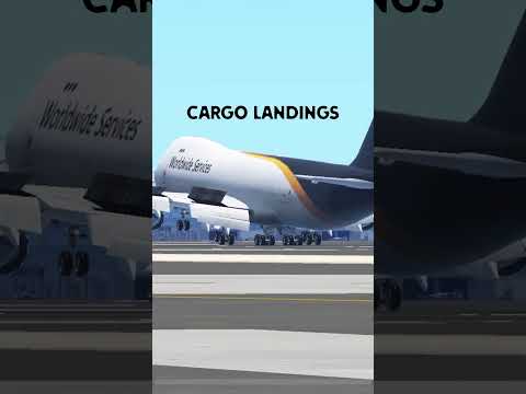 Normal V/S Cargo Infinite Flight