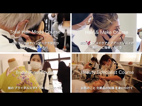 アプロアクチニ科について詳しく解説