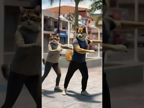 #Don&#39;tBeCruel노래뮤비 #셔플듀엣댄스 스텝안무 #신나는댄스곡팝송 #음악패러디 #춤추는진돗개강…