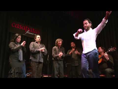 BARULLO - CASA PATAS 20