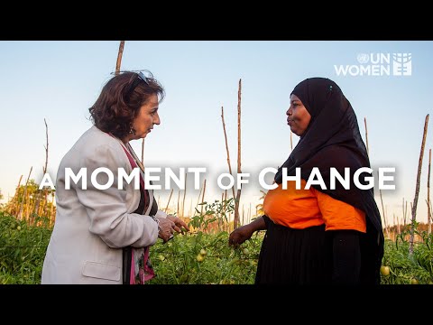UN Women at a Moment of Change