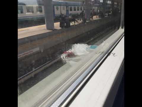 Da Moncalieri a Torino porta nuova