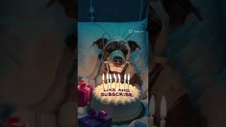 Download lagu CARA KIRIM CHIP HIGGS DOMINO•HIGGS DOMINO GLOBAL ADA TOMBOL KIRIM#shorts #fyp #viral #dog mp3