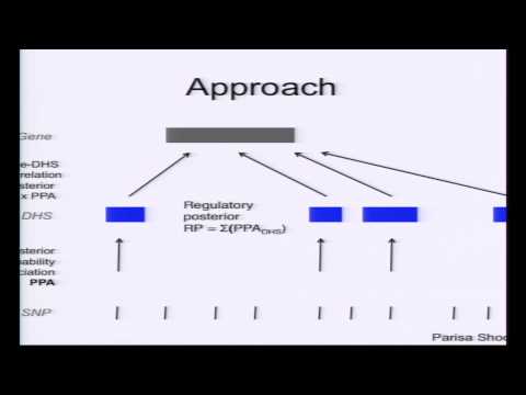 Identifying Dysregulated Genes in Autoimmune Disease - Chris Cotsapas