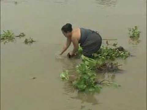 Kongkaeb bong muay - Meas Samorn & Pen Ron