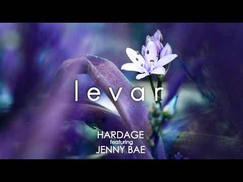 Hardage - Levar (featuring Jenny Bae) - Violin Electronic Music