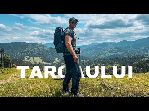 Cãtunul Agățat De Cer | Bratesul Unguresc din Muntii Tarcaului