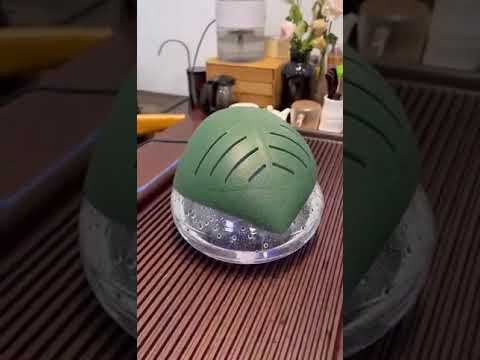 Indoor Air Purifier