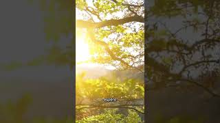 Ore com o coração!