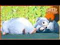 Big Top Bear Grizzy The Lemmings 30 Compilation Cartoon For Kids