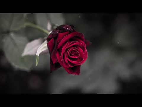 Don't Forget To Remember Me- Bee Gees(잊지 말고 날 기억해줘요 - 비 지스) 가사 번역 한글자막