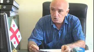 ცხოველთა დამცველები მიუსაფარი ცხოველების თავშესაფრის არსებობის აუცილებლობაზე საუბრობენ - 31.07.2014