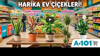 A101e SALON ÇİÇEKLERİ GELDİ📣✅🪴