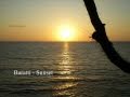 Ralph Vaughan Williams - Whither Must I Wander ...