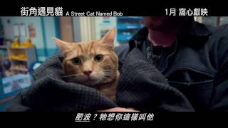 街角遇見貓電影劇照1