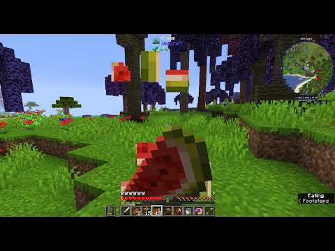 Enigmatica 6 Expert E6E Episode 2 Opening Gates and Finding Bees?