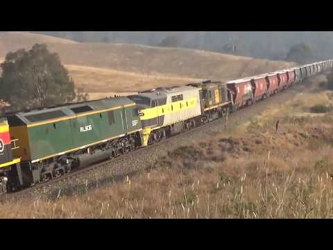 Train of the year! 1201 1202 BRM002 RL305 GM27 602=1KN2