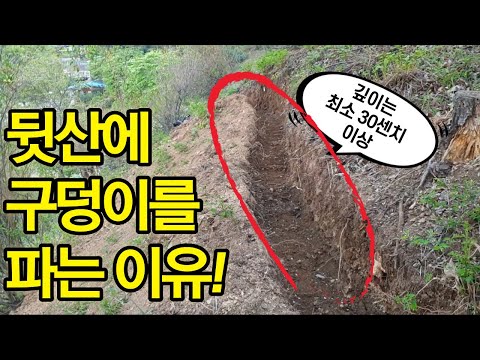 , title : '염소장 울타리 만들기기 준비과정'