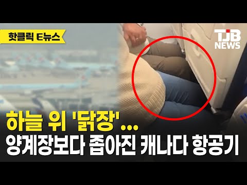 하늘 위 '닭장'… 양계장보다 좁아진 캐나다 항공기
