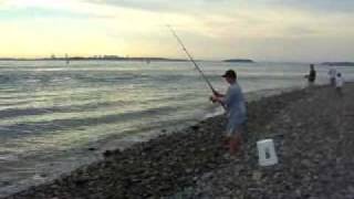 preview picture of video 'Hull Gut: South Shore's Best Fishing'
