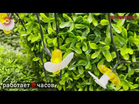 Миниатюра изображения товара Светодиодная гирлянда ЭРА ERASG024-03 / Б0044218