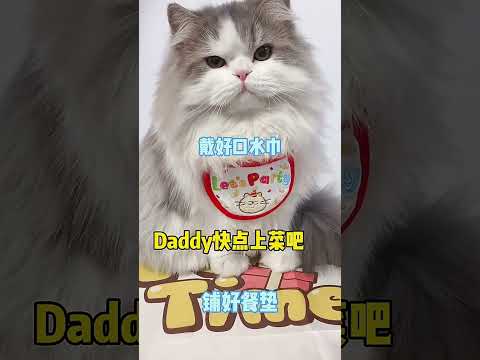 Rate Daddy's Skills, Aunties! Plus, Watch Out for Your Eating Habits! #CatChronicles...