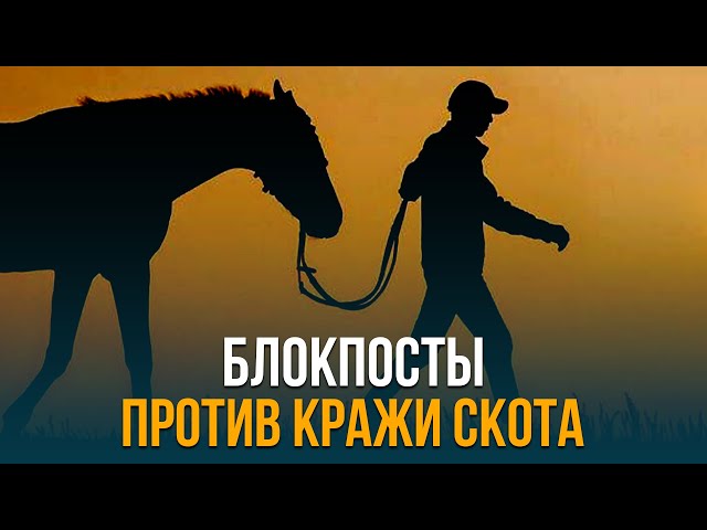 Главные новости 22.09.2023 г.