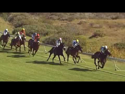 Kenilworth Cup - Mercurana