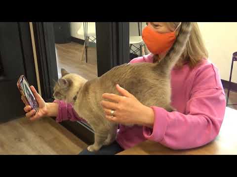 North from Catffeinated makes a surprise visit