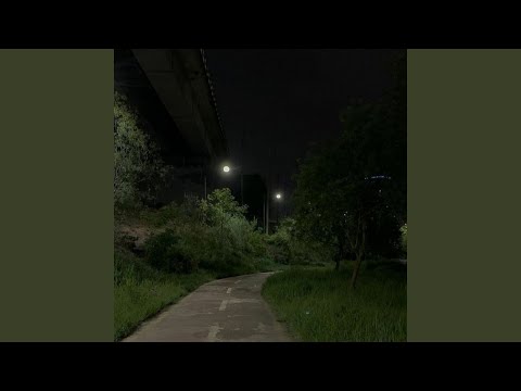 la lecon particuliere