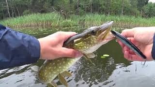 Lucky craft flash minnow 110sp