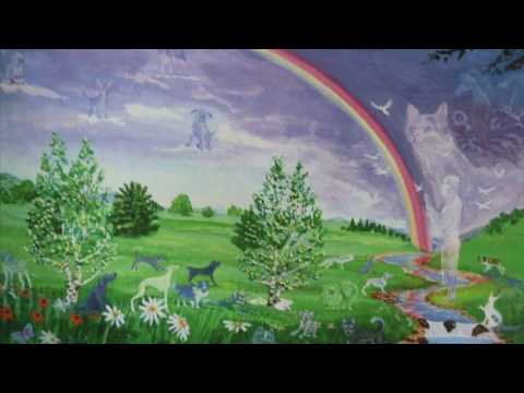 The Rainbow Bridge Poem