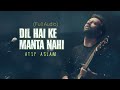 Dil Hai Ke Manta Nahi Atif Aslam Full Audio