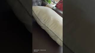 Download lagu bantal silikon mp3