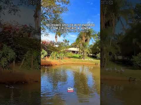Sitio Alto padrão 3 alqueires ( 14,52 hectares ) Bela Vista de Goiás #sitioavenda #lazer #agro