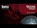 Sela 214 Harmony Handpan D Sabye thumbnail 10