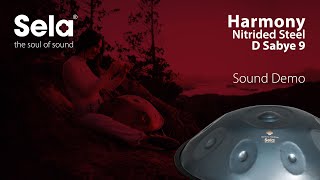 Handpan D Sabye Steel