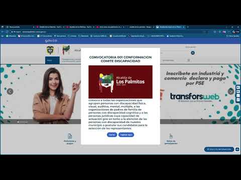 Comité Discapacidad