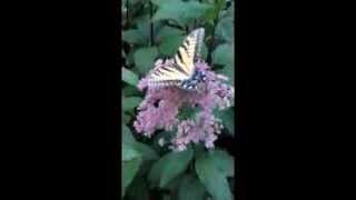 Fourth time 4th around. Music and lyrics written and performed by Bob Dylan