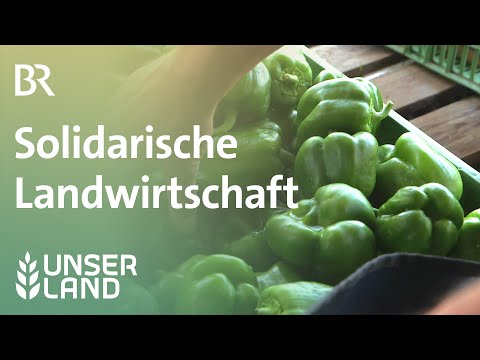 Solawi: Solidarische Landwirtschaft  Bamberg | Unser Land | BR Fernsehen