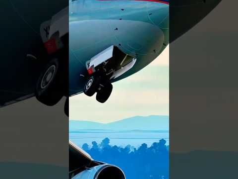 Swire airlines💙#aviation #aerotrade #trendingshorts #airplane #shortvideo #shorts #viralvideo #reel