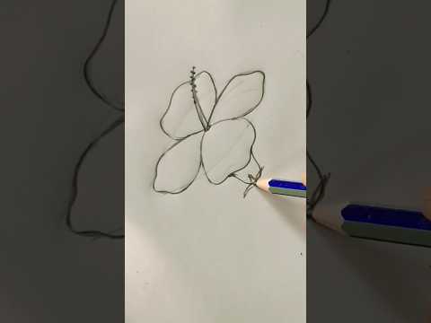The art of Java flower# part 1# watch part 2 on the channel# sketch#youtube #samiha  🌺🌺