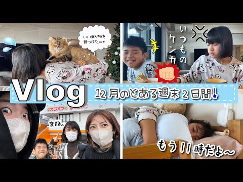 ★Vlog★年末のとある週末の2日間！カラオケ、ママ飲み、パポくつみがきｗ