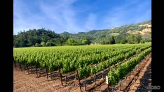 preview picture of video 'Murray Huberfeld Travel Blog, Napa Valley, California'