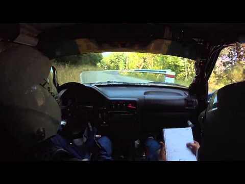 CAMERACAR _RALLY IRC CASENTINO 2015 _ IRALDI-AMERIO _ PEUGEOT 106 N2