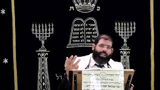 הוריות דף ב' ע''א ¤ הרב נתנאל אברז'ל ¤ בית הכנסת "בית מרדכי" (מוסדות תורת דוד) - התמונה מוצגת ישירות מתוך אתר האינטרנט יוטיוב. זכויות היוצרים בתמונה שייכות ליוצרה. קישור קרדיט למקור התוכן נמצא בתוך דף הסרטון