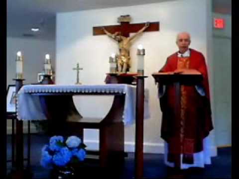 Catholic Homily for June 29, 2010